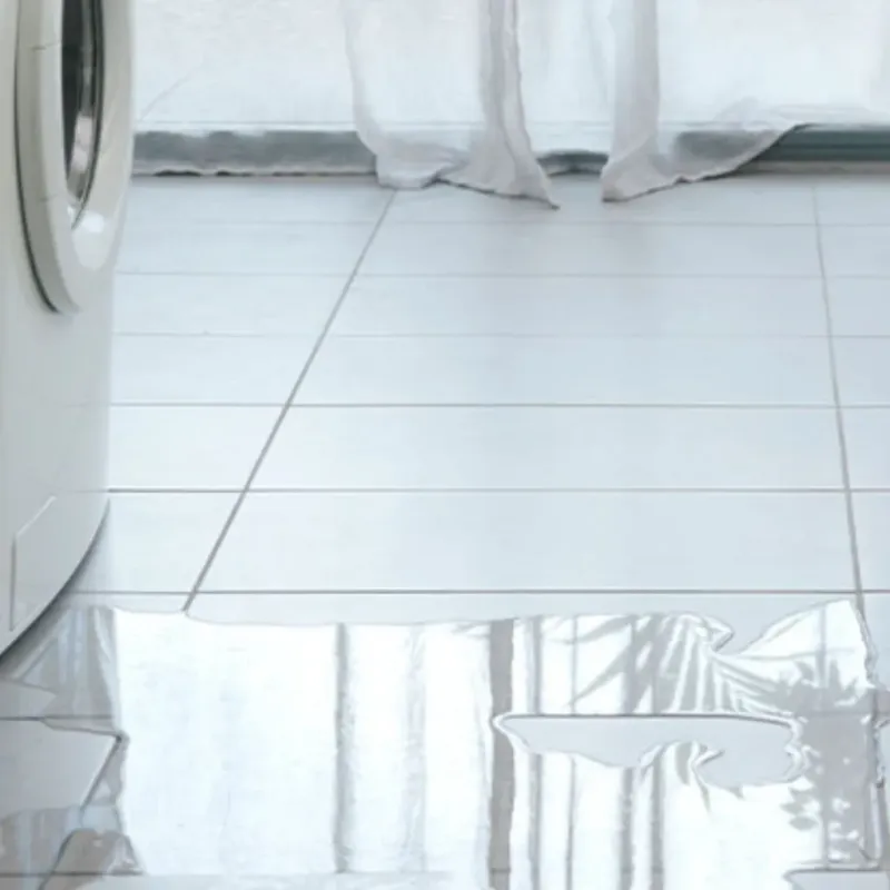 Appliance Leak Cleanup in Warren, MN