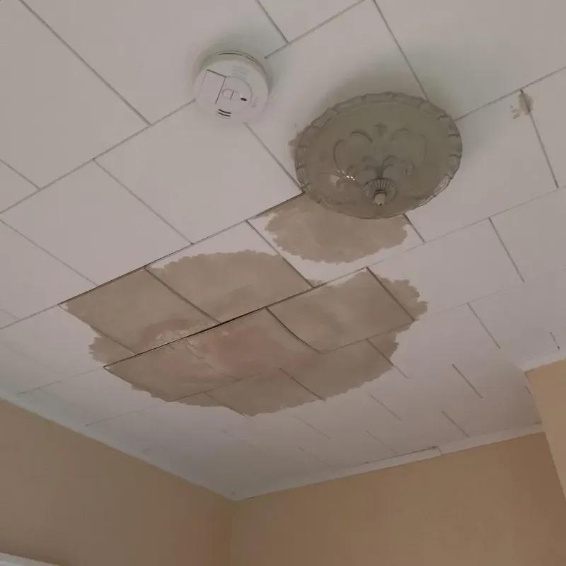 Ceiling Water Damage Repair in Warren, MN