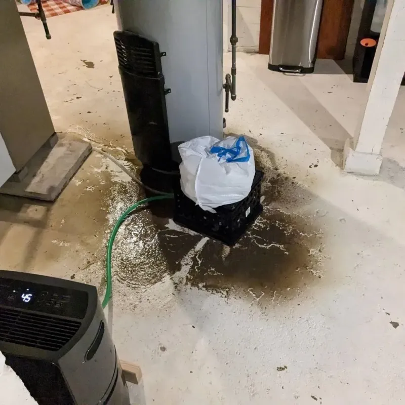 Sewage Backup Cleanup Service in Warren, MN